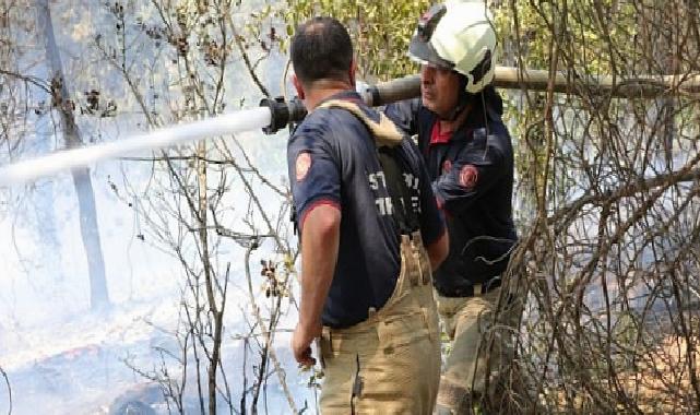 İBB Grupları Sakarya ve Bilecik’te Orman Yangınlarına Müdahale Takviyesine Devam Ediyor