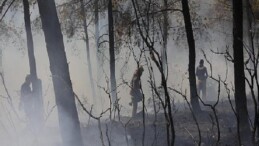 İBB’den Bursa’daki orman yangınına acil dayanak