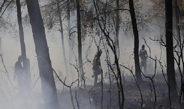 İBB’den Bursa’daki orman yangınına acil dayanak