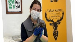 İtfaiyeden baykuş operasyonu