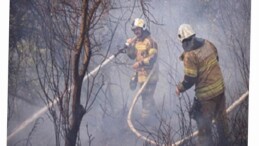 İZPA İzmir’in orman yangını risk haritasını oluşturdu