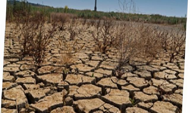 İZSU vatandaşları su tasarrufuna davet ediyor
