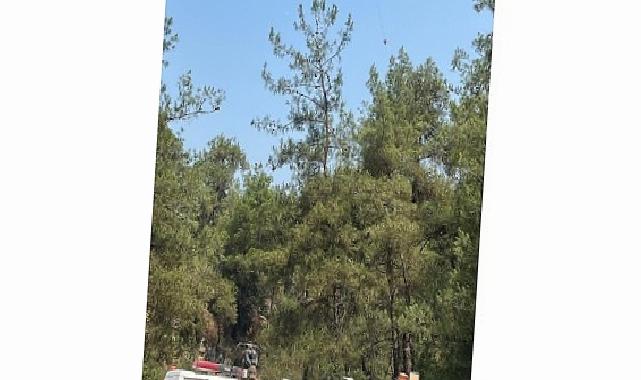 Kartepe Belediyesi’nden Yangın Söndürme Çalışmalarına Destek