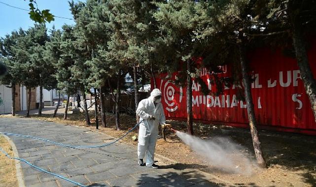 Kene ve Haşerelerle Uğraş İçin İlaçlama Çalışmaları Başladı