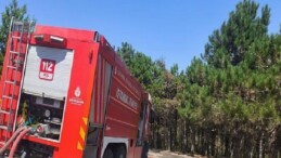 Kent Ormanı Yangını Kısmen Denetim Altında