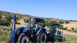 Kocaeli’de kekik hasadı başladı