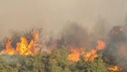 Komşudaki yangına çok sayıda araç ve grupla müdahale