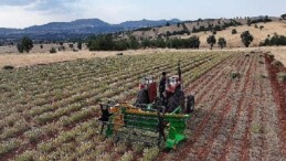 Lider Altay: “Kuraklığa Güçlü Bitki Takviyeleriyle Çiftçimize Yeni Fırsatlar Sunuyoruz”