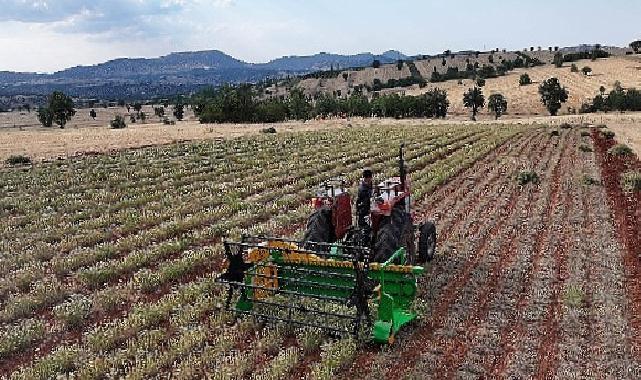 Lider Altay: “Kuraklığa Güçlü Bitki Takviyeleriyle Çiftçimize Yeni Fırsatlar Sunuyoruz”