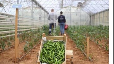 Lider Çerçioğlu’nun Tarıma ve Üreticilere Takviyeleri Sürüyor
