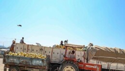 Manavgat Yeni Hal Toptancı Kompleksi üreticilerin ve tüccarların yüzlerini güldürüyor