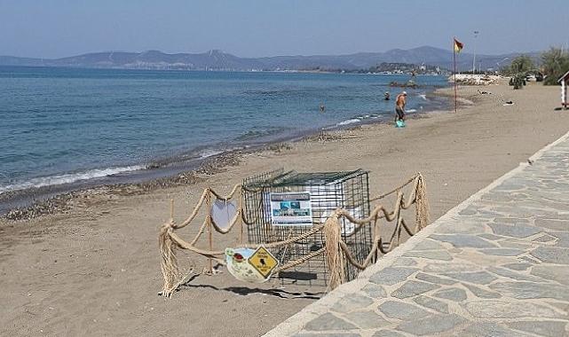 Menderes’te Caretta Caretta Heyecanı