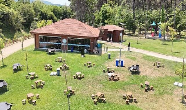 Miço Bayanlar Plajı’nda yok yok