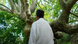 Plant Era: Ela Excellence Resort Belek ile tabiat ile bütünleşin