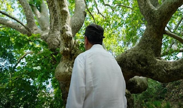 Plant Era: Ela Excellence Resort Belek ile tabiat ile bütünleşin