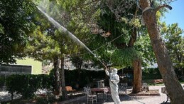 Selçuklu Belediyesi yeşil alan ilaçlamalarını dış mahallelerde de sürdürüyor