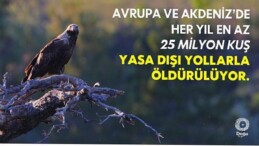 “The Killing 3.0” Raporu’na Nazaran Kuşların Yasa Dışı Öldürülmesi Artıyor.