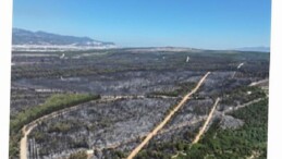 Tugay: Yangın bölgeleri için elimizden geleni yapacağız lakin dayanışmaya muhtaçlığımız var