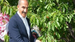 Uçak; “Don kirazı, kiraz ihracatı vurdu”