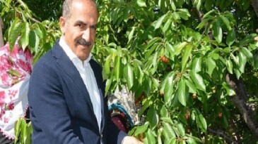 Uçak; “Don kirazı, kiraz ihracatı vurdu”