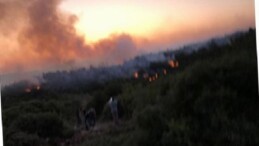 Urla’da yangın denetim altına alındı