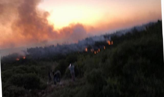 Urla’da yangın denetim altına alındı