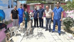 Üsküdar İle Menderes Can Dostlar İçin El Ele