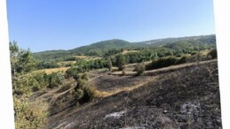 Yangında ziyan gören çiftçilere gübre ve tohum takviyesi