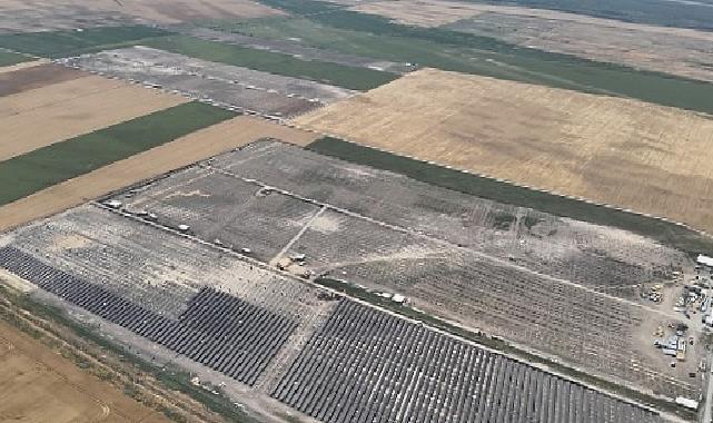 YEO Teknoloji’den dünyaya 2.5 milyon ağaç kadar nefes