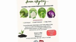 Yüzde 50 Hibelı Kışlık Sebze Fidesi Başvuruları Başlıyor