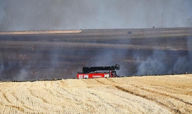 3 günde 70 hektarlık alan kül oldu