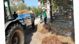 Ayvalık Belediye Başkanı Mesut Ergin; “Atmayın! Ayvalık Pak kalsın”