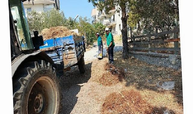 Ayvalık Belediye Başkanı Mesut Ergin; “Atmayın! Ayvalık Pak kalsın”