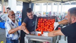 Ayvalık’ta Salça Vakti Başladı