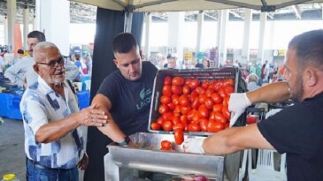 Ayvalık’ta Salça Vakti Başladı