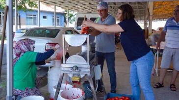 Ayvalık’ta Salça Vakti Başlıyor!
