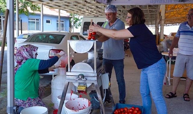 Ayvalık’ta Salça Vakti Başlıyor!