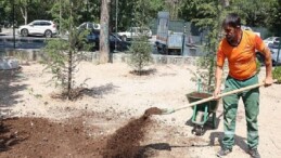 Bahriye Üçok Parkı yenilendi