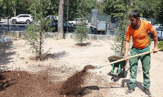 Bahriye Üçok Parkı yenilendi