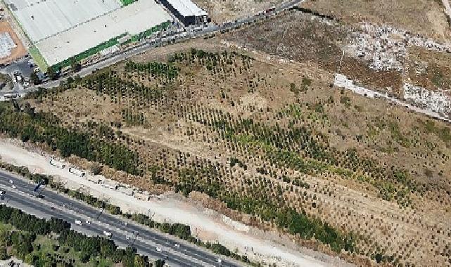 Başiskele Kavşağı’nda birinci etap: Tır ve kamyonlar için yasak başlıyor