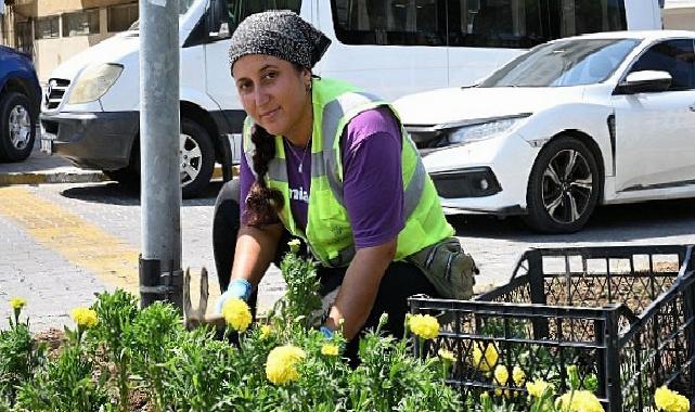 Başkan Çerçioğlu’ndan Didim’de çevre ve peyzaj düzenlemesi