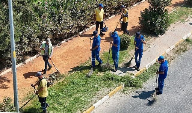 Başkan Çerçioğlu’ndan Nazilli’ye yeşil dokunuş