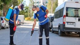 Buca’da ilaçlama atağı