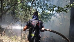 Büyükşehir, Karamürsel yangını için seferberlik ilan etti