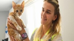 Büyükşehir takımları sazlıkların ortasına düşen yavru kediye can oldu