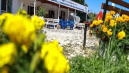 Büyükşehir’den bayanlara üretim dayanağı