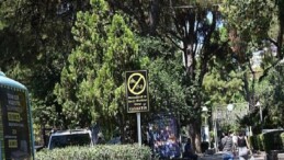 Büyükşehir’den Kaldırımlar ve Sevgi Yollarında Kontrol