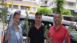 Büyükşehir’den üreticiye zeytin fidanı dayanağı