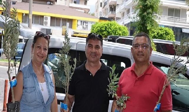 Büyükşehir’den üreticiye zeytin fidanı dayanağı