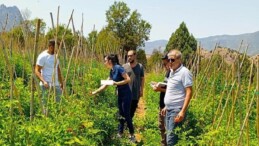 Çankaya Belediyesi’nden organik pazar denetimleri
